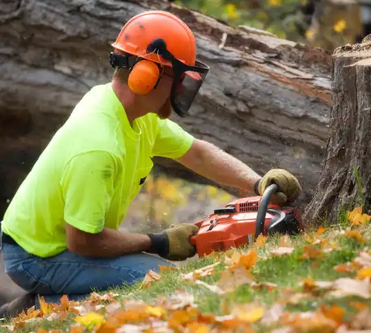 tree services Germantown